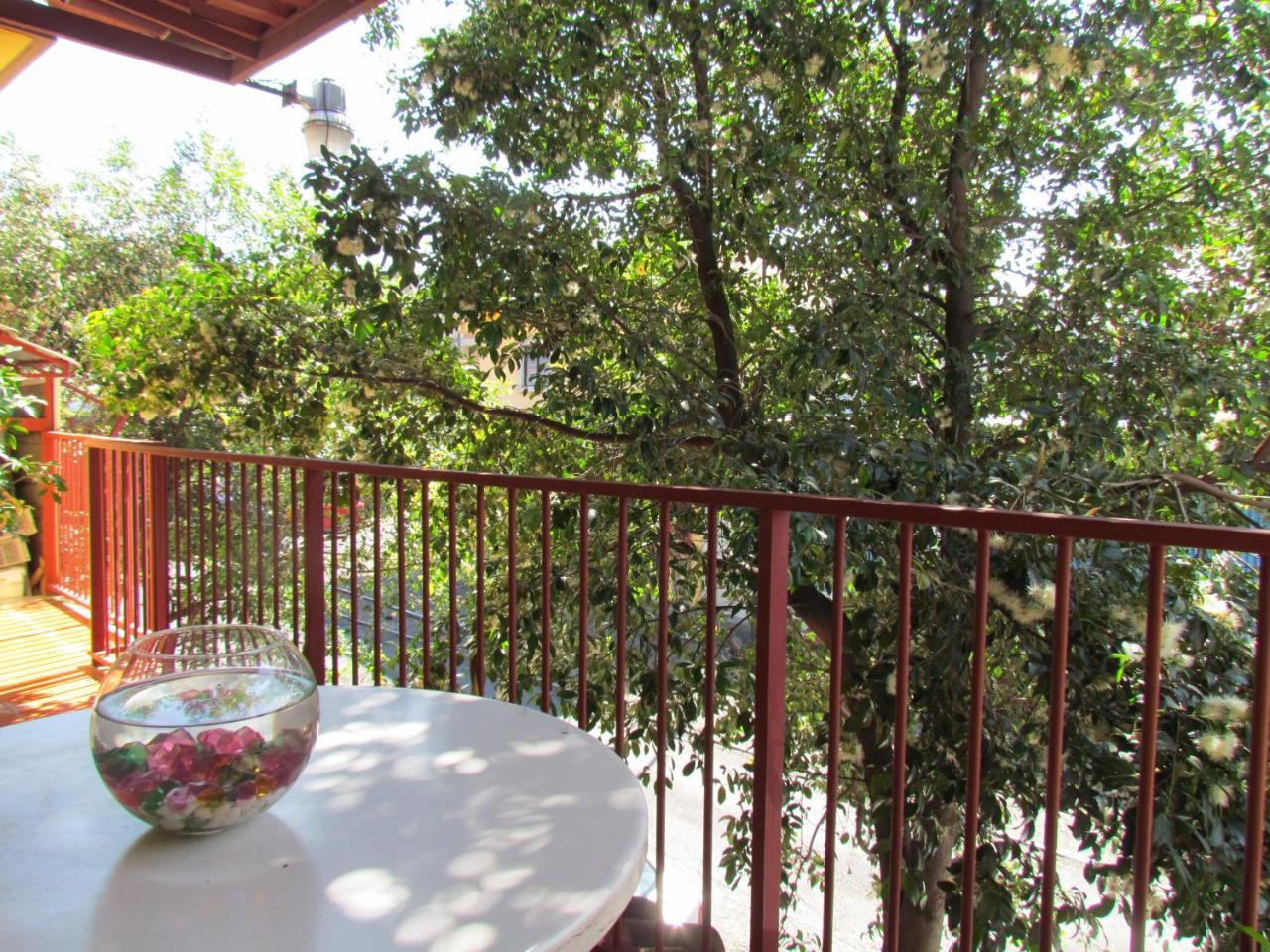Hostel Shakti Сан-Хосе Экстерьер фото